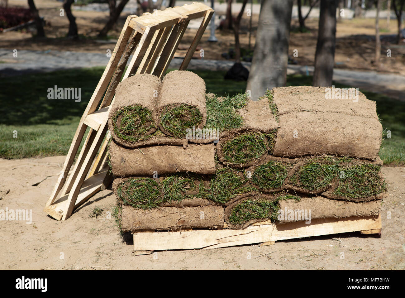 Turf on pallet hires stock photography and images Alamy