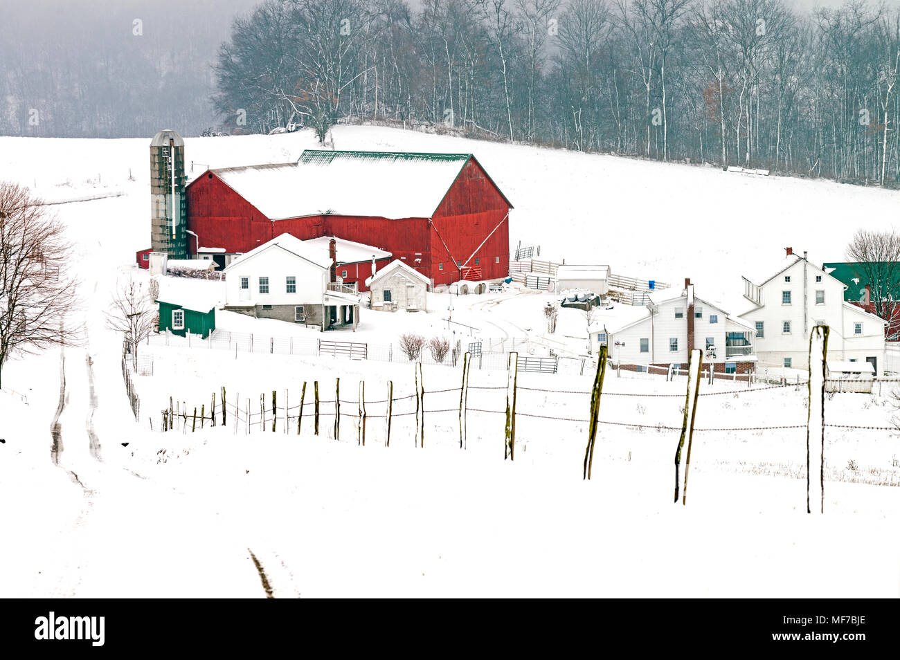 Amish Farm in Ohio Amish Country, USA Stock Photo