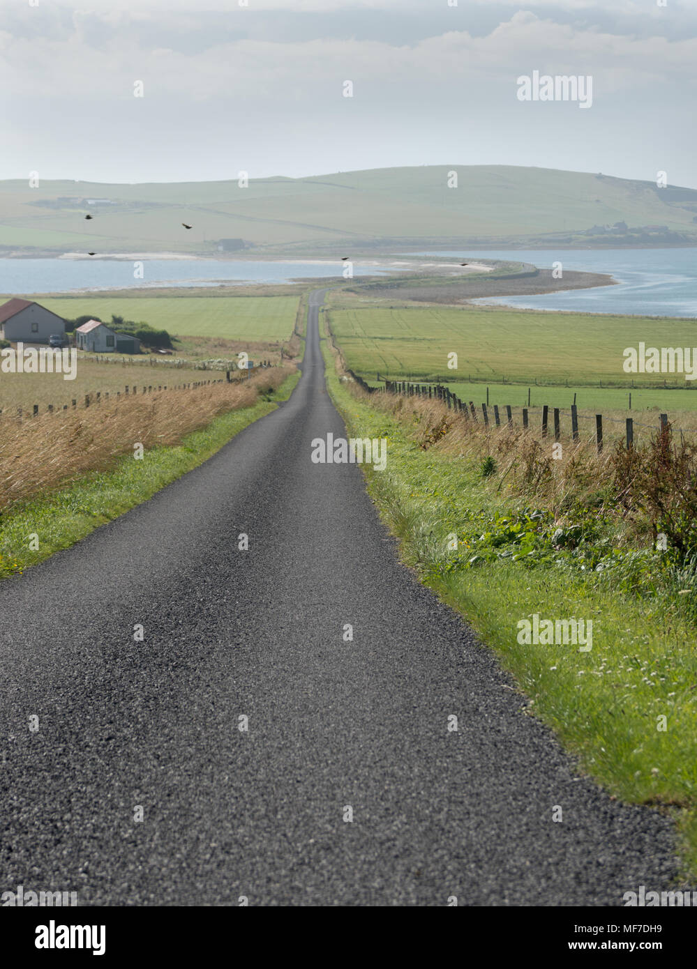 Long Road to the Sea - a long country lane leading down to the sea at Longhope, Hoy, Orkney, Scotland Stock Photo
