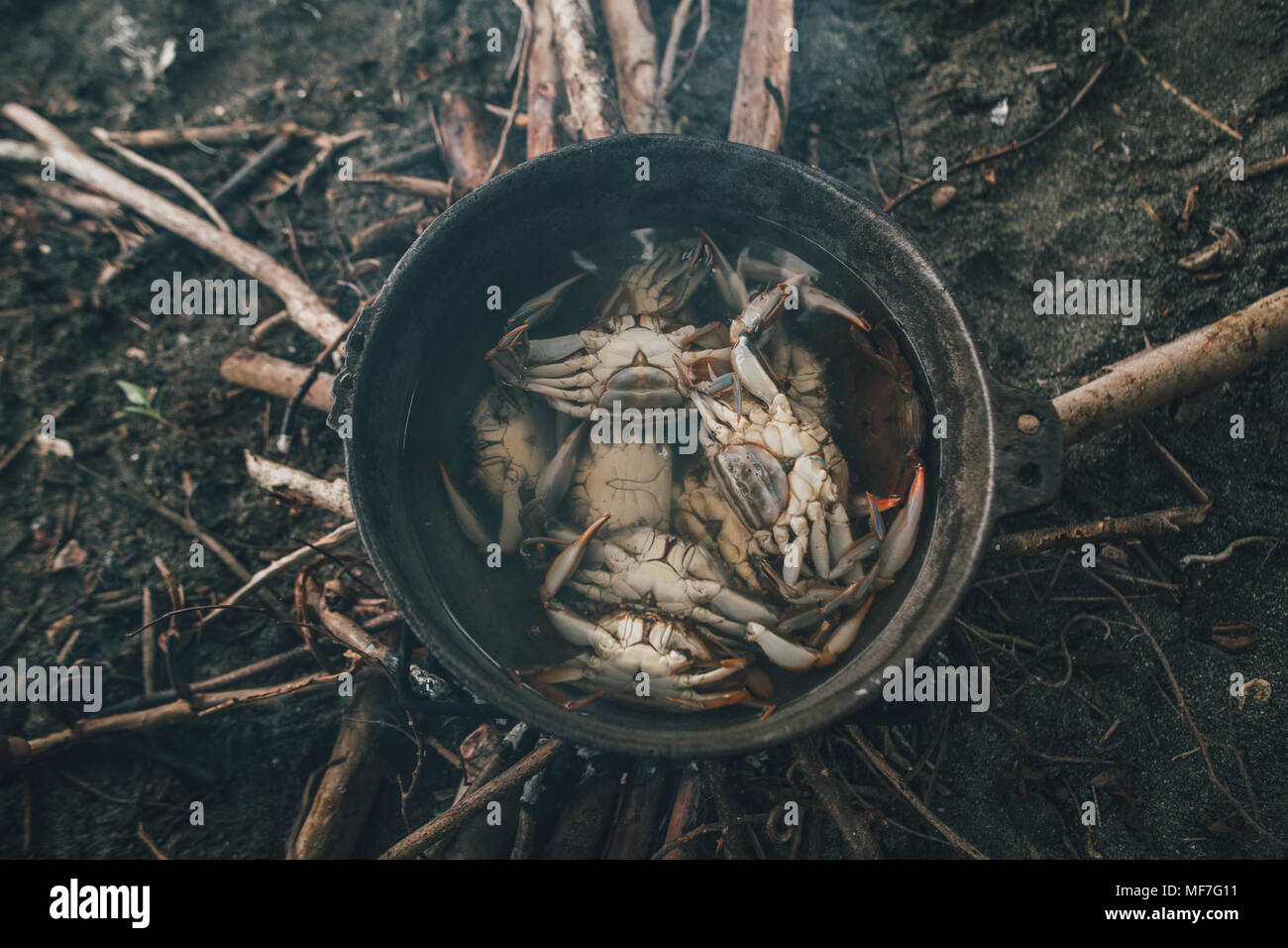 Crabs caught in a pot with water Stock Photo