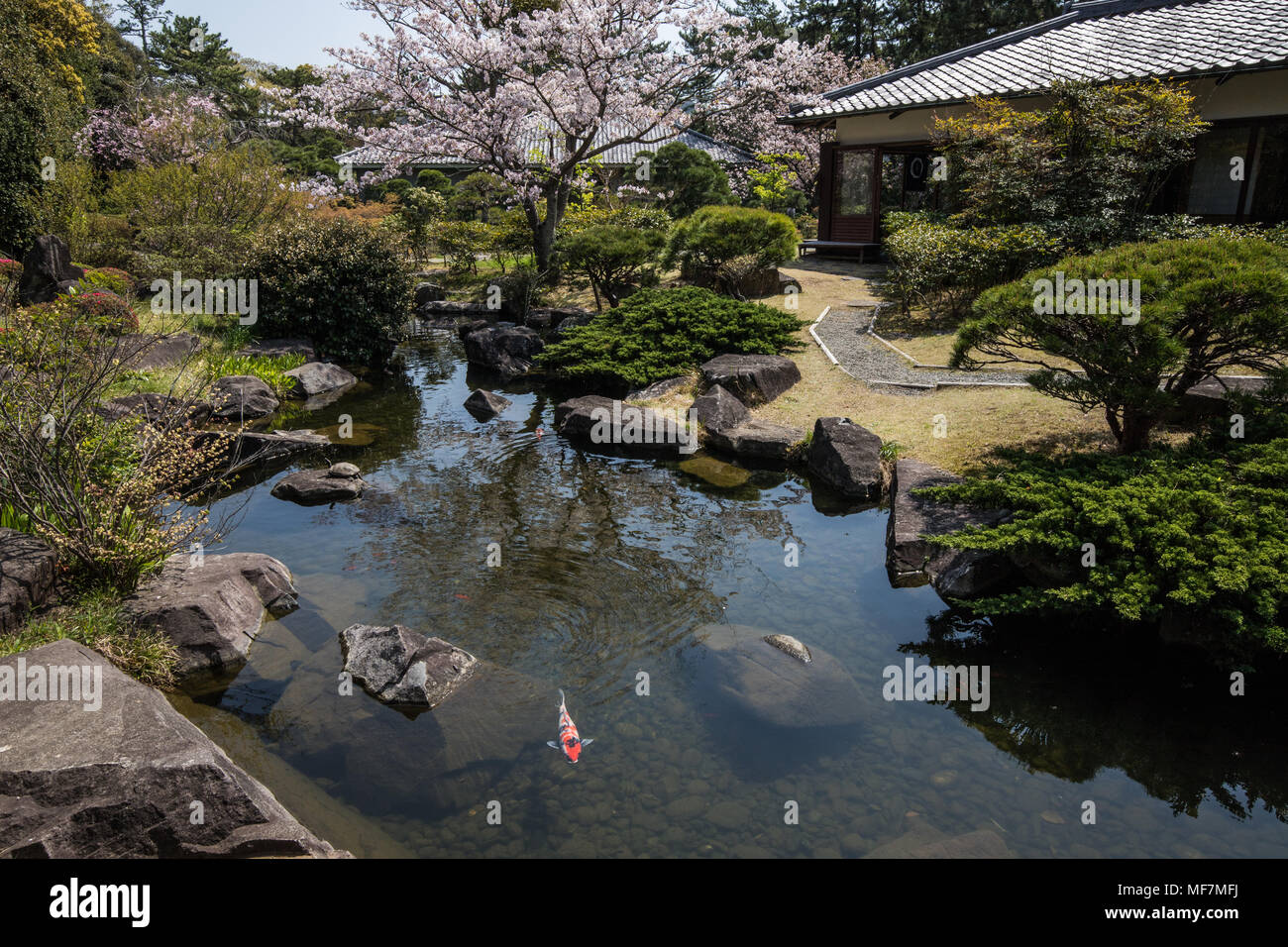 Shiosai Teien is a traditional Chisen Kaiyu Shiki Japanese strolling pond garden with teahouses overlooking the pond.  Within the grounds, altogether  Stock Photo