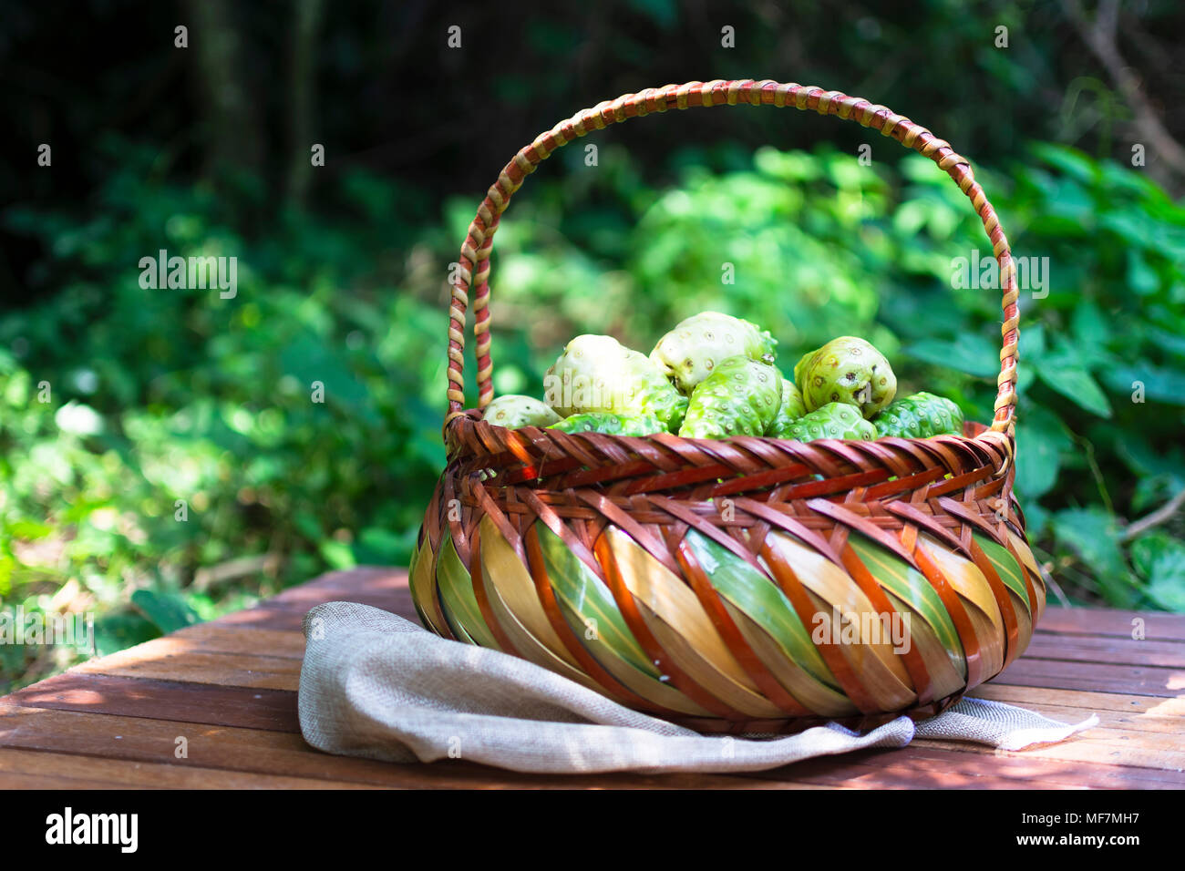 Noni fruit tree hi-res stock photography and images - Alamy