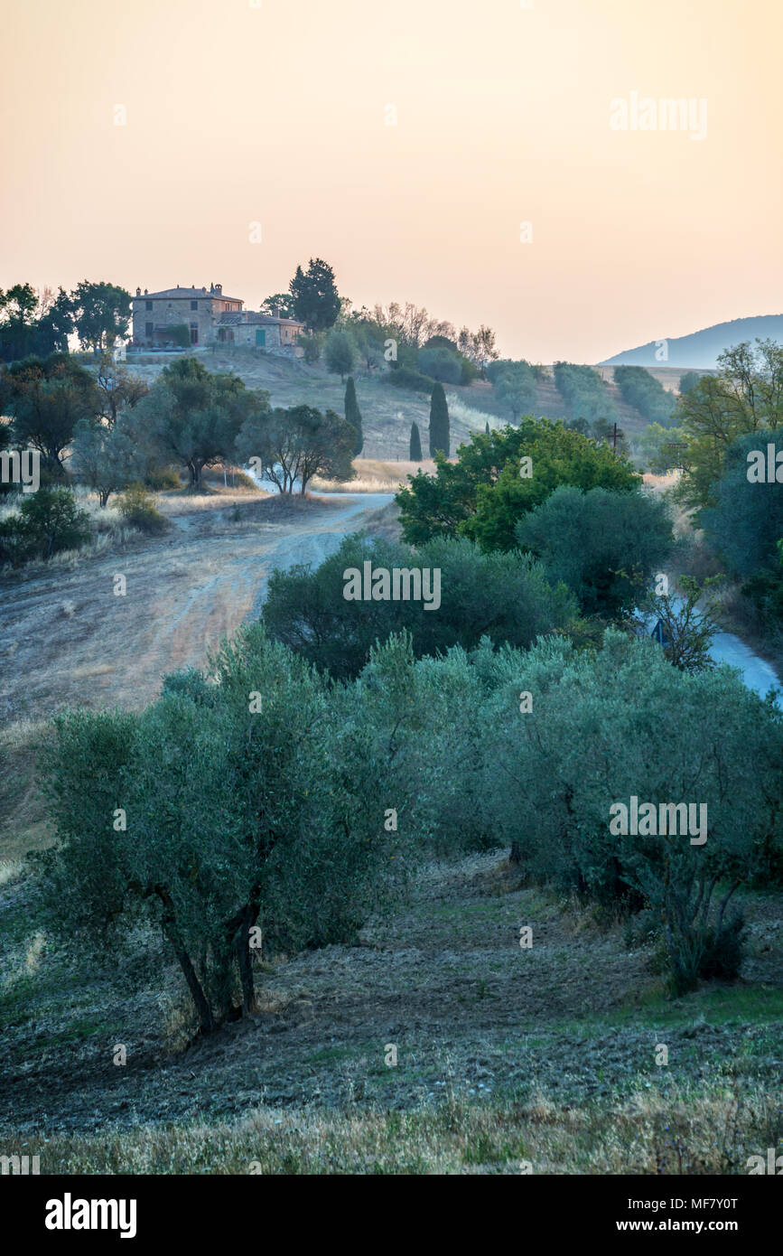 Summer landscape at sunrise in Tuscany, Italy Stock Photo