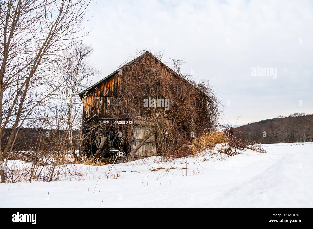 Winter in New England Stock Photo - Alamy
