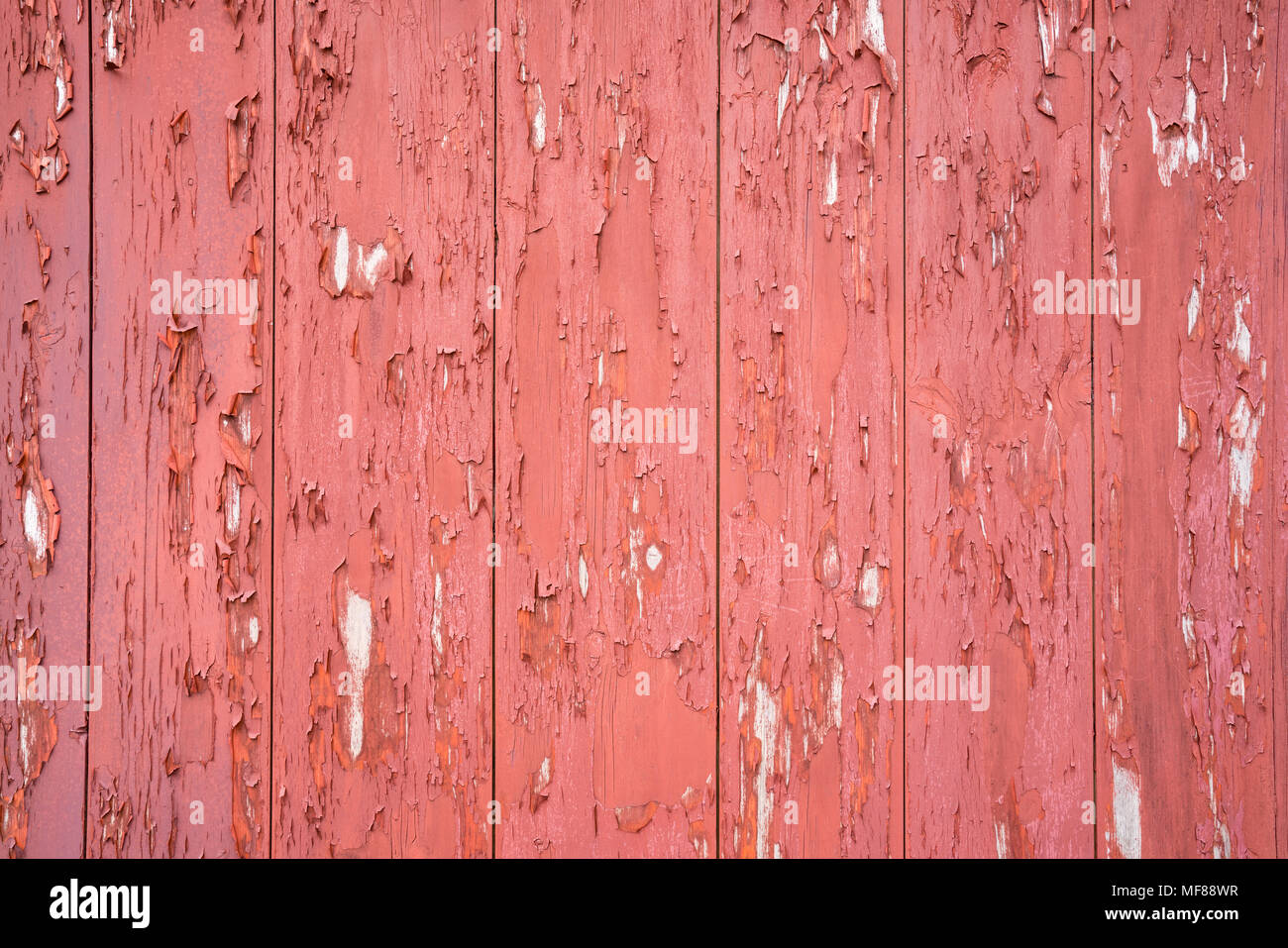 Old Weathered Red Barn Siding Planks with Peeling Paint Stock Photo