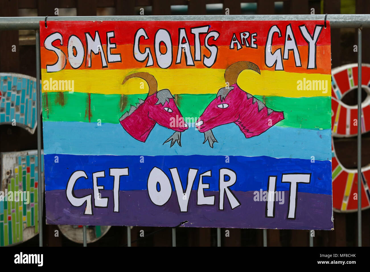 Hamish (Oxford) wins the Goat Race. Goats compete during the Hamish