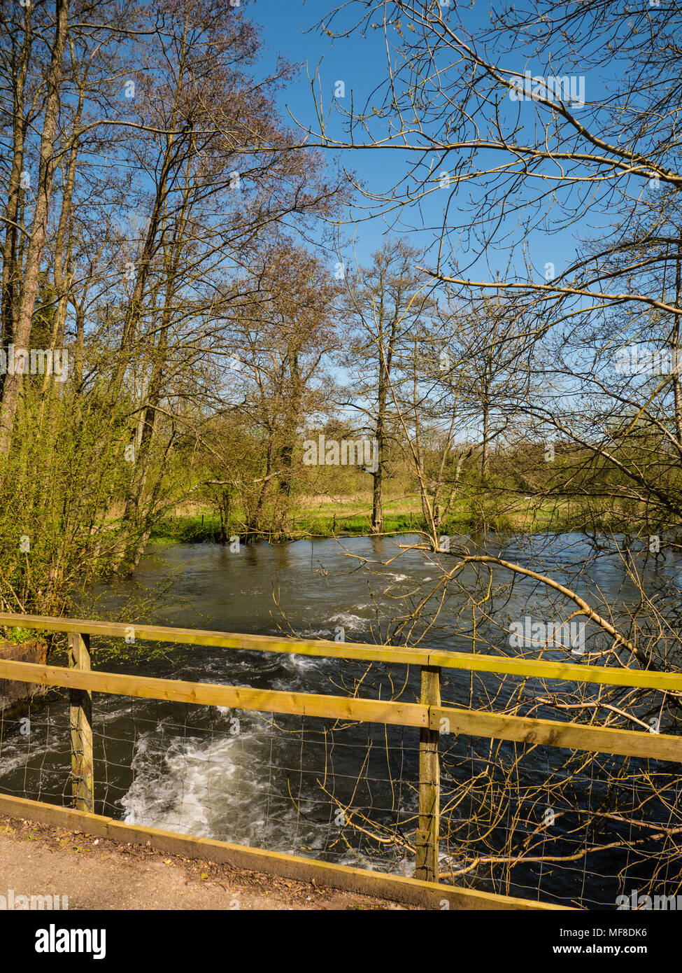River Kennet, Speen Moors Walk, Newbury, Berkshire, England, UK, GB. Stock Photo
