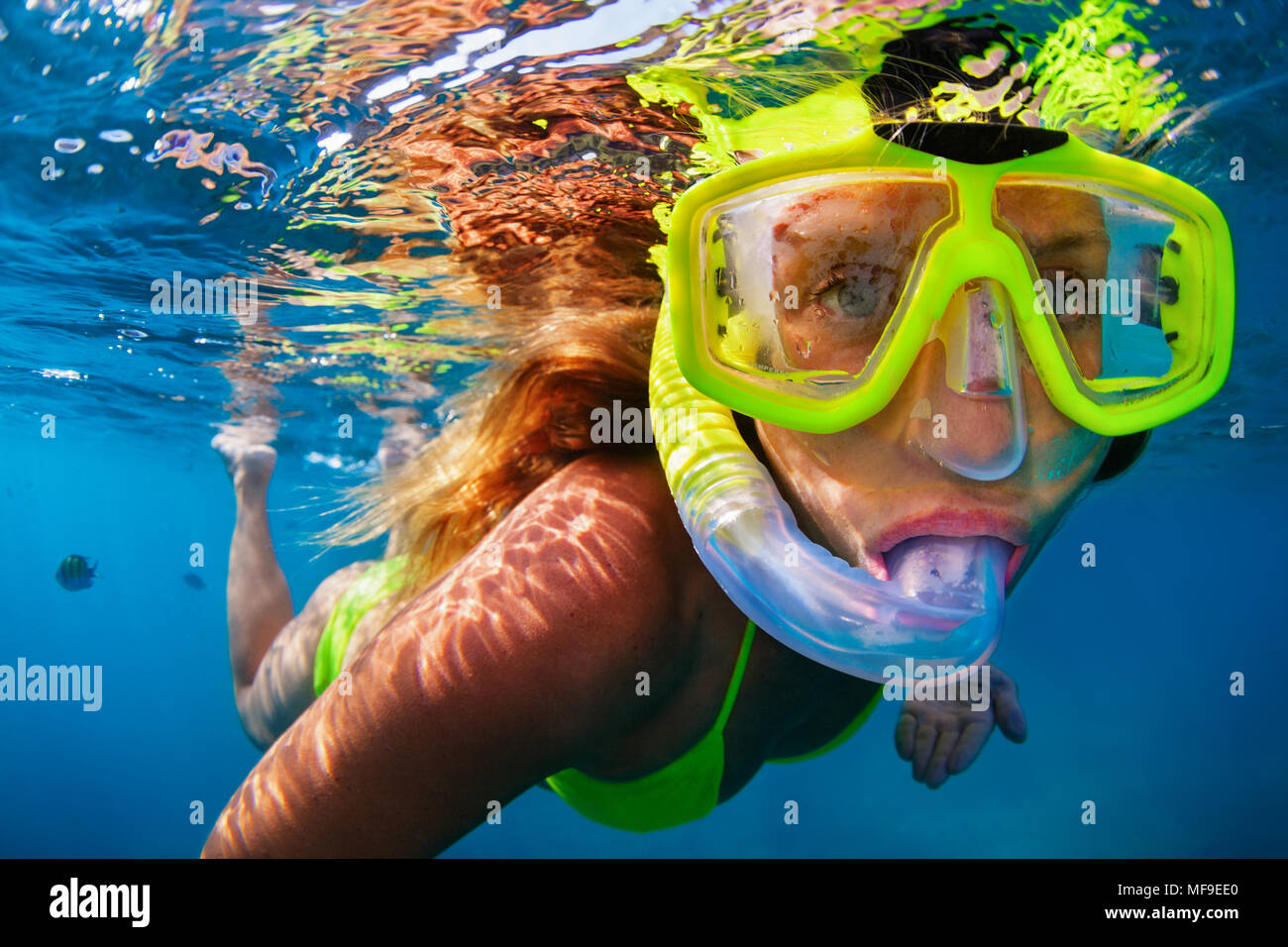 Snorkeling High Resolution Stock Photography and Images - Alamy