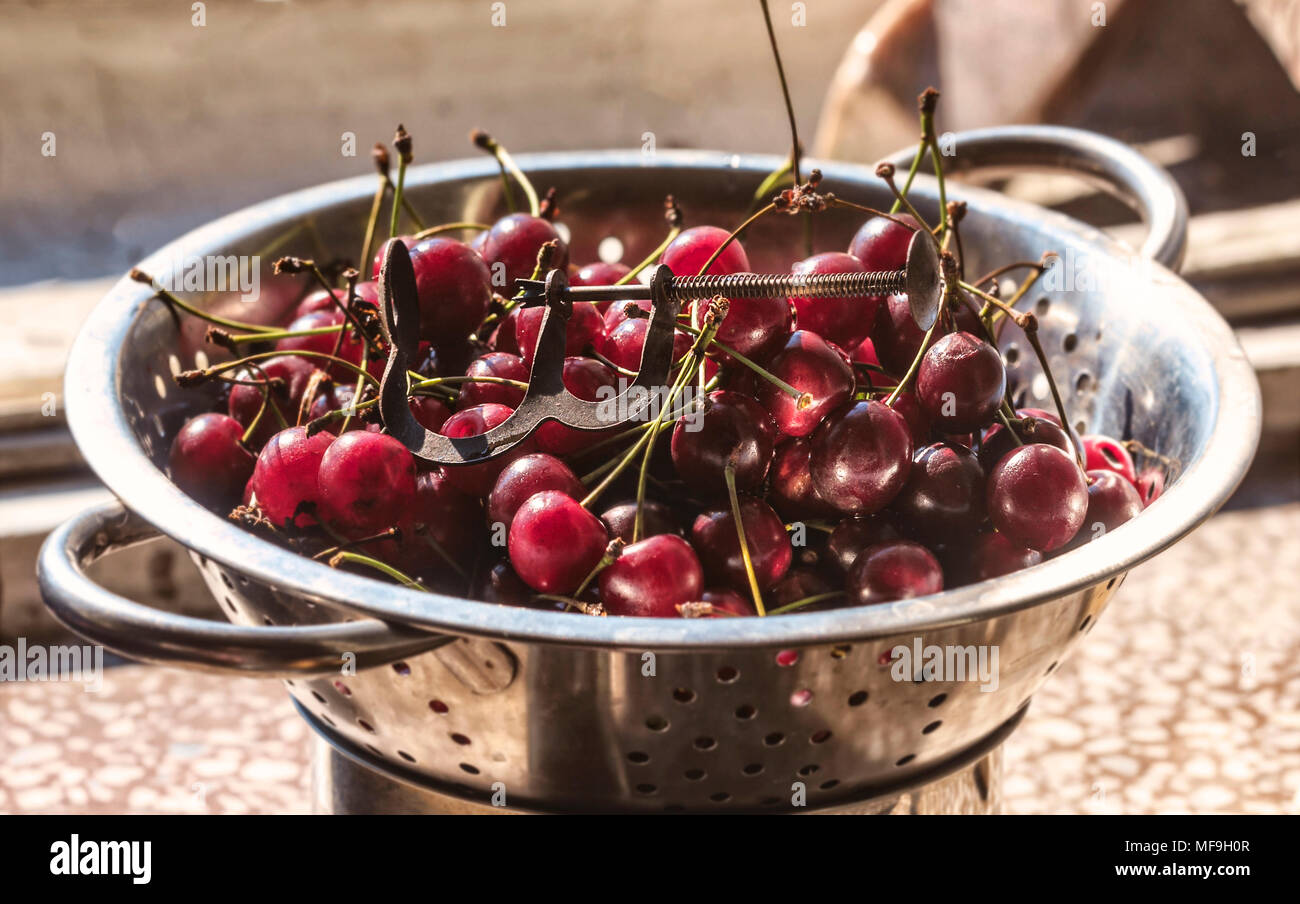 Fresh ripe cherry in colander at sunny morning Stock Photo