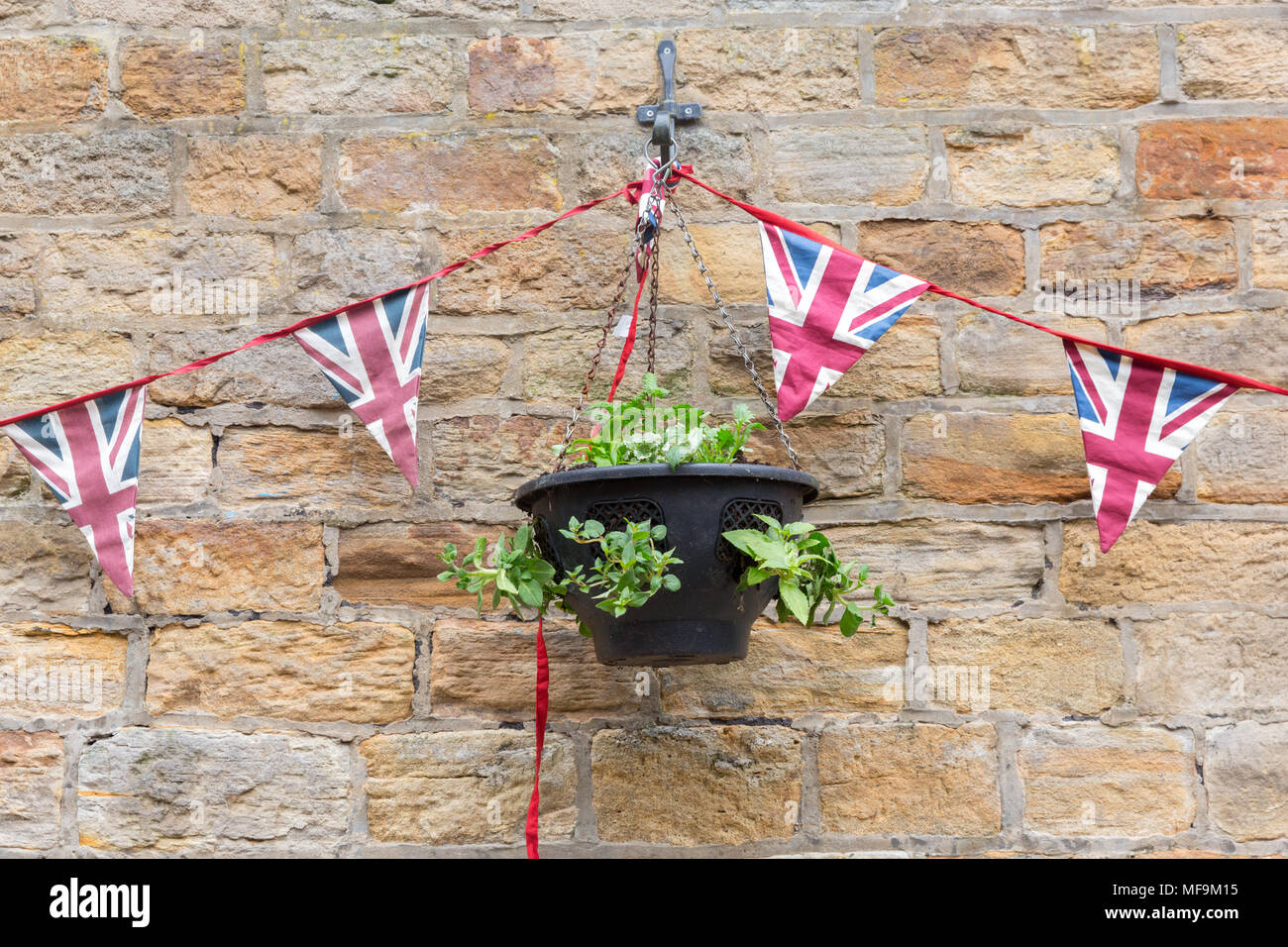 A String of Union Jack Pennants hung along a garden wall with a hanging