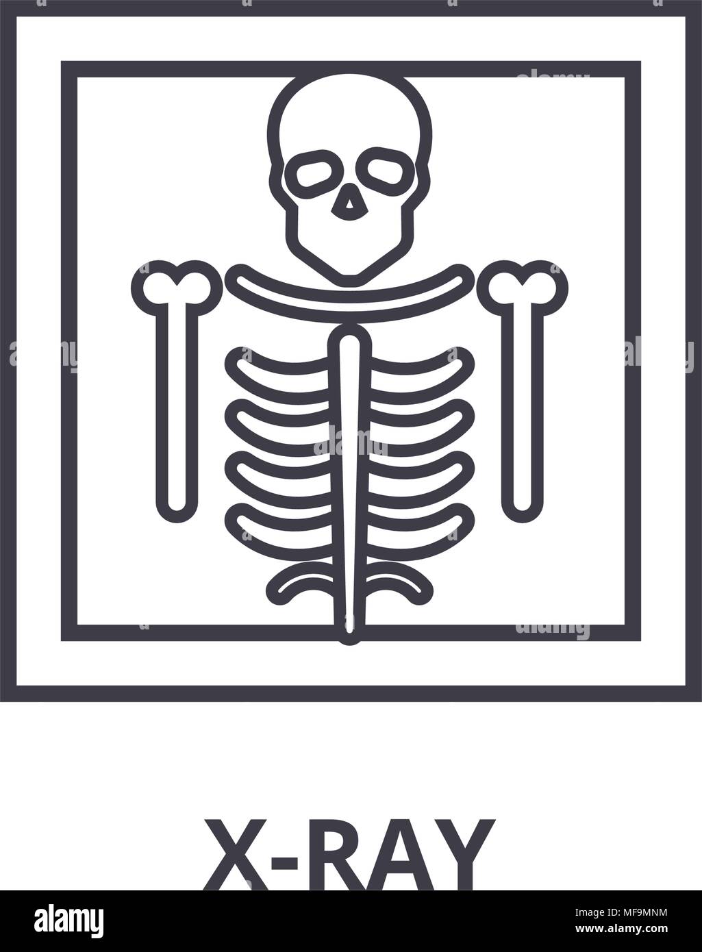 x ray thin line icon, sign, symbol, illustation, linear concept, vector