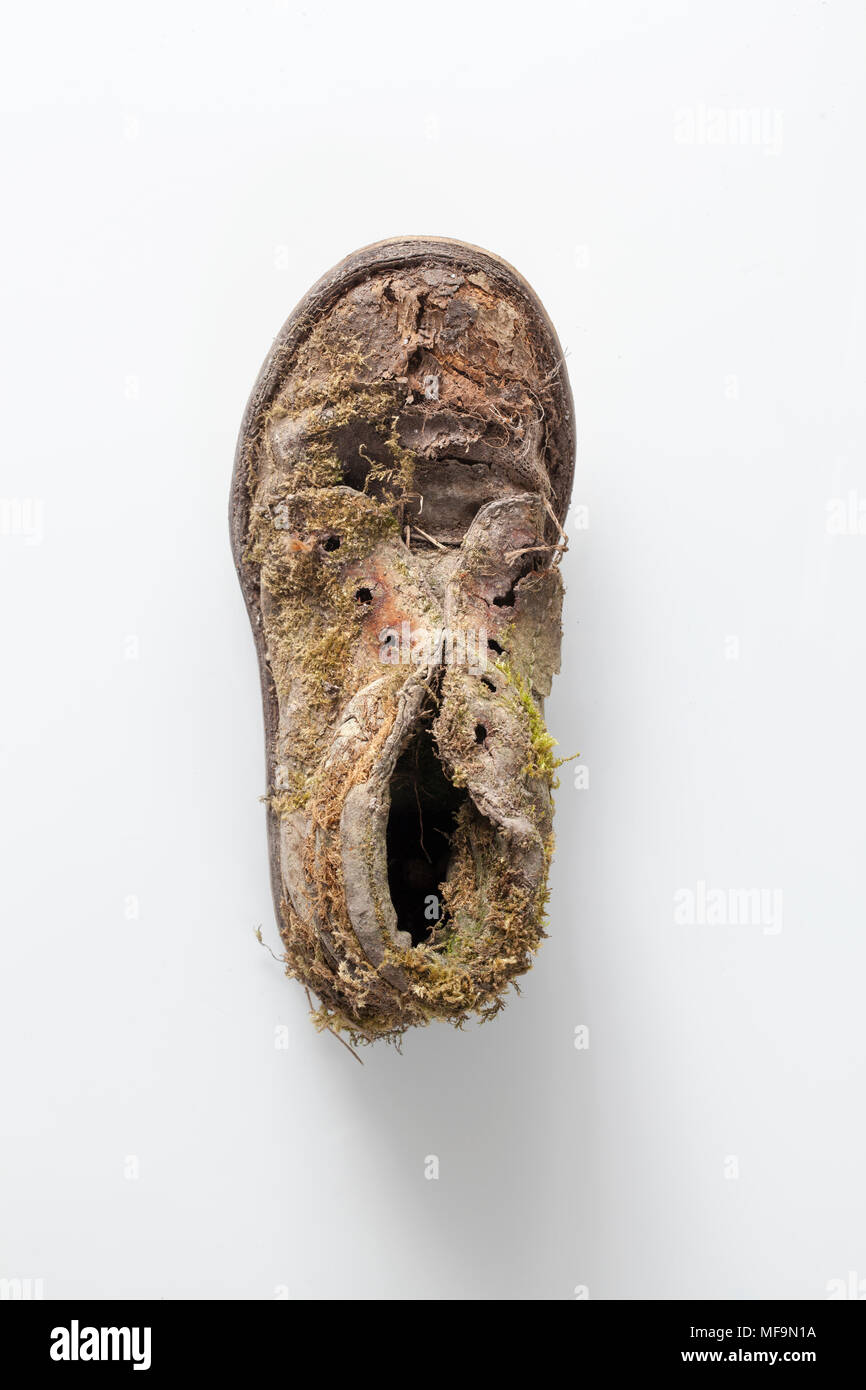 Lost Old Shoe Covered in Moss Stock Photo Alamy