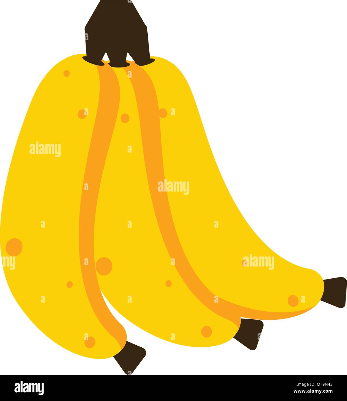 Isolated banana fruits Stock Vector Image & Art - Alamy