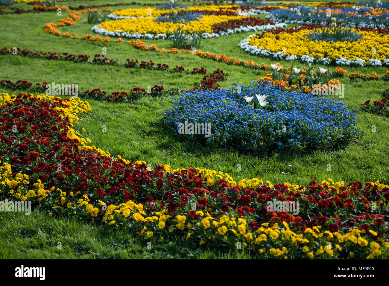 A detail picture of a castle garden decorated with a lot of flowers in Dresden, Germany. Pictured during the sunny spring afternoon. Stock Photo