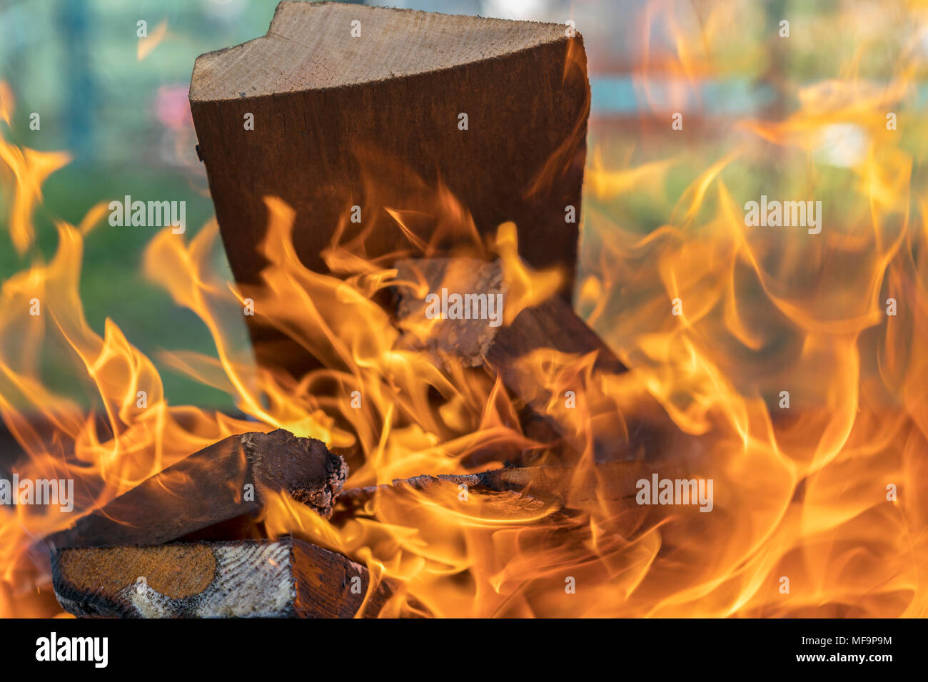 Burning firewood in barbecue grill Stock Photo Alamy