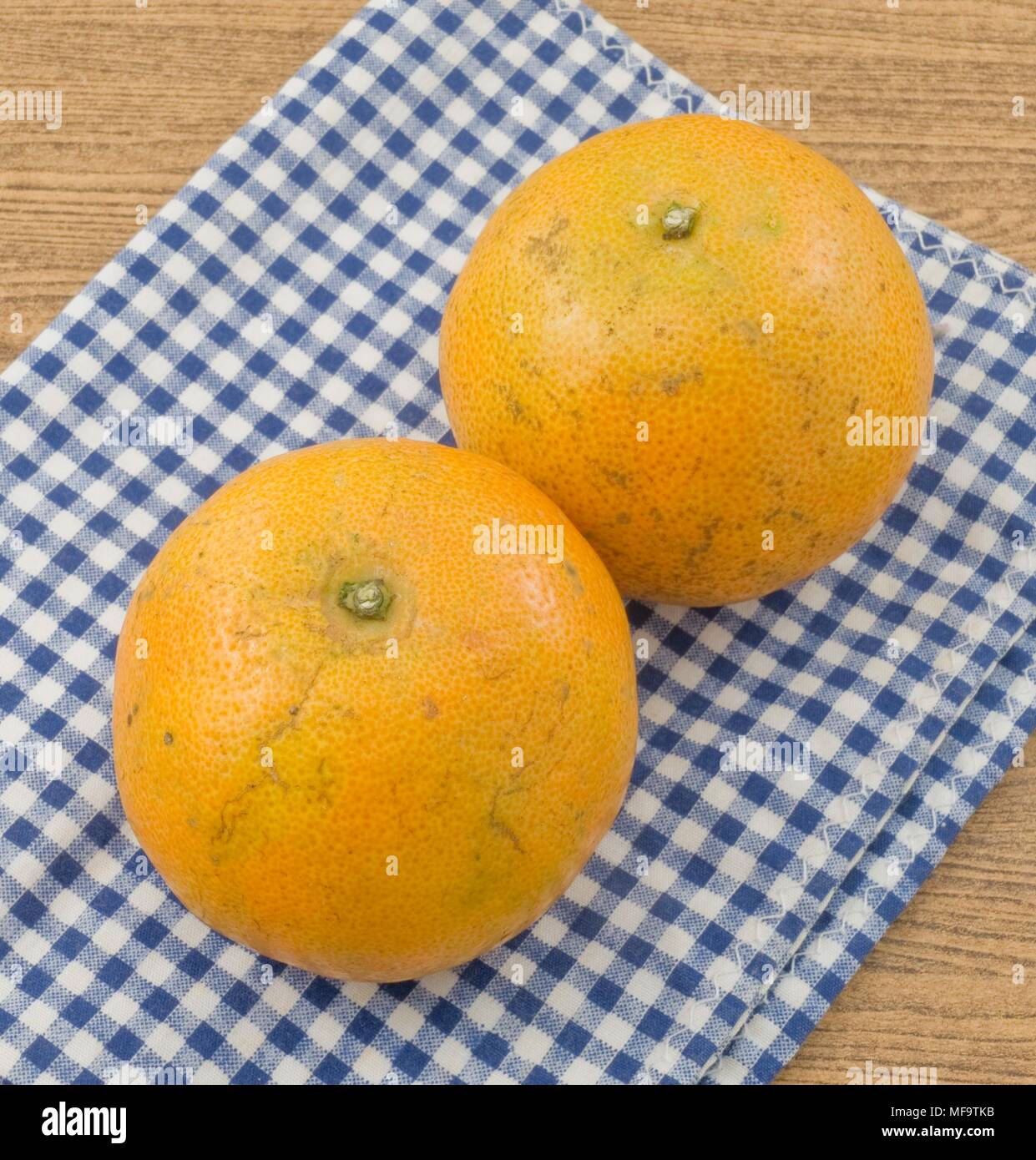 Two Ripe and Sweet Oranges on Wooden Table, Orange Is The Fruit of The Citrus Species. Stock Photo