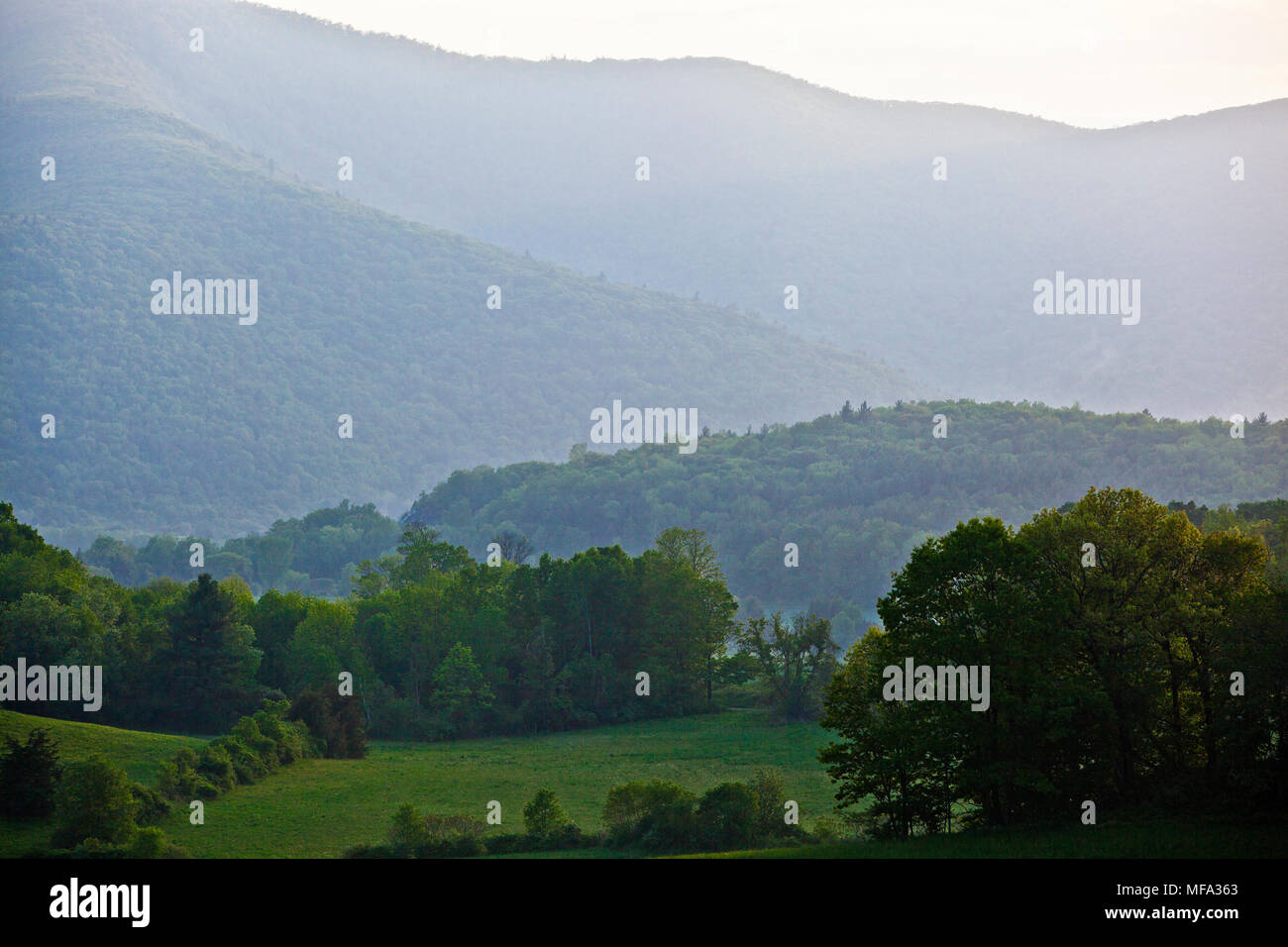 Vermont summer meadow with rolling hills trees and the green mountains in the background Stock Photo