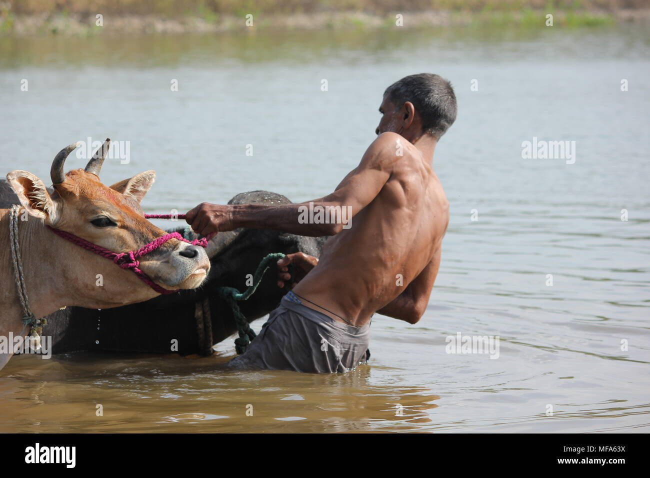 Old indian village man hi-res stock photography and images - Alamy