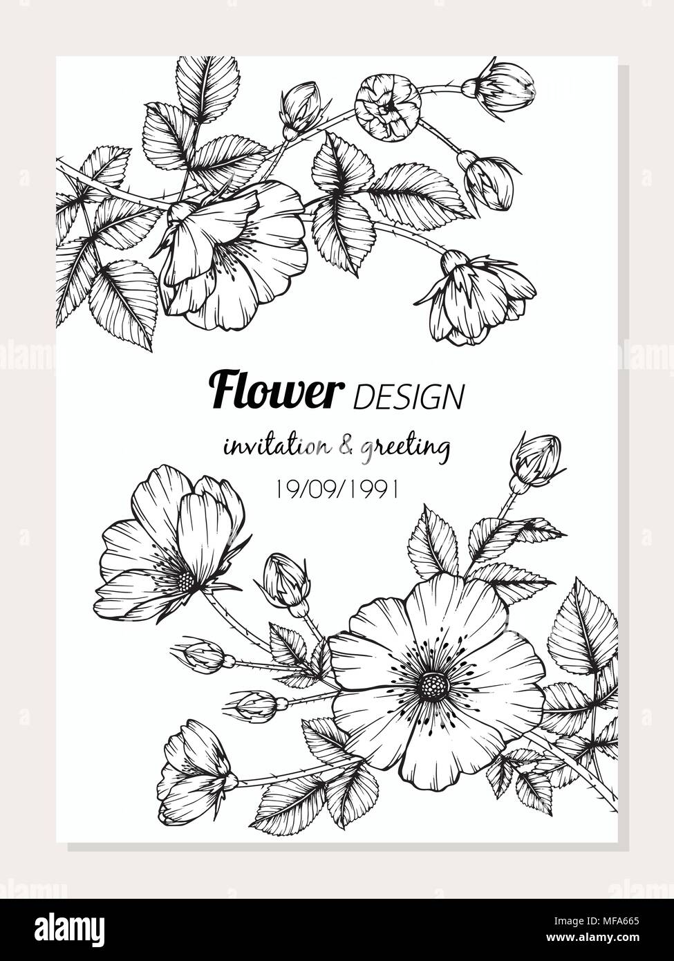 Dog rose flower frame drawing illustration for card design. Stock Vector