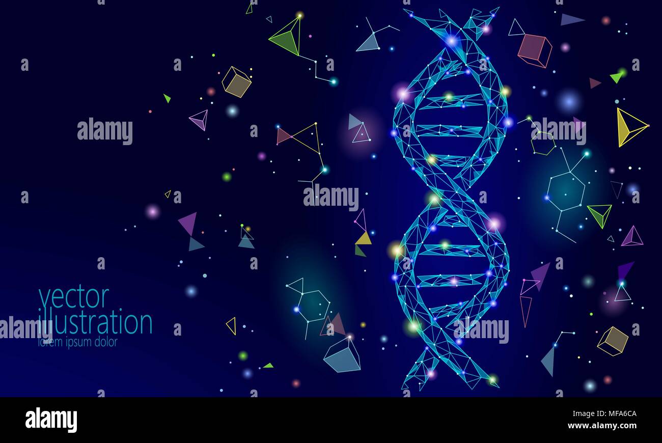DNA 3D chemical molecule structure low poly. Polygonal triangle point line healthy cell part. Microscopic science blue medicine genome engineering vector illustration future business technology Stock Vector