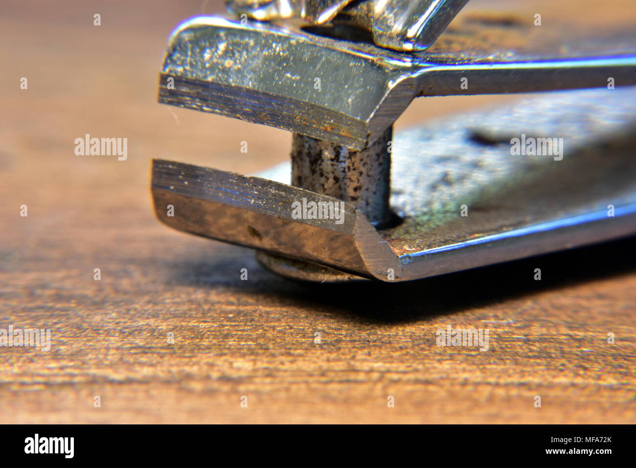 Nail clippers Stock Photo