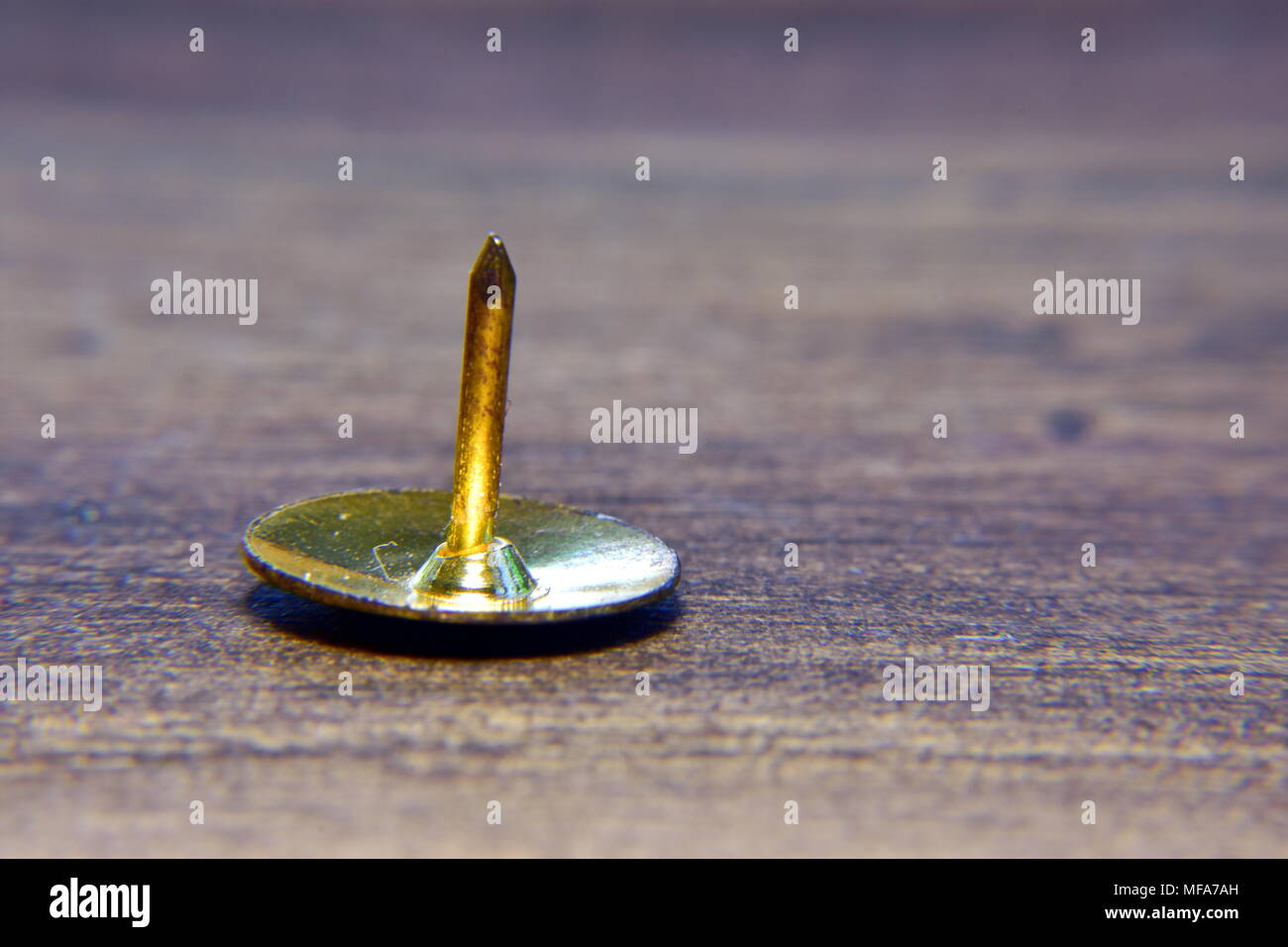 Thumb tack or drawing pin macro shot. Stock Photo