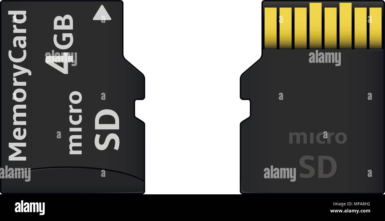 Micro SD memory card from both sides. Vector illustration. Stock Vector