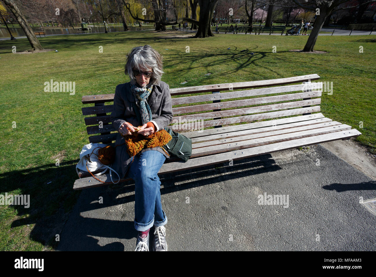 Boston Public Garden Bench High Resolution Stock Photography and Images