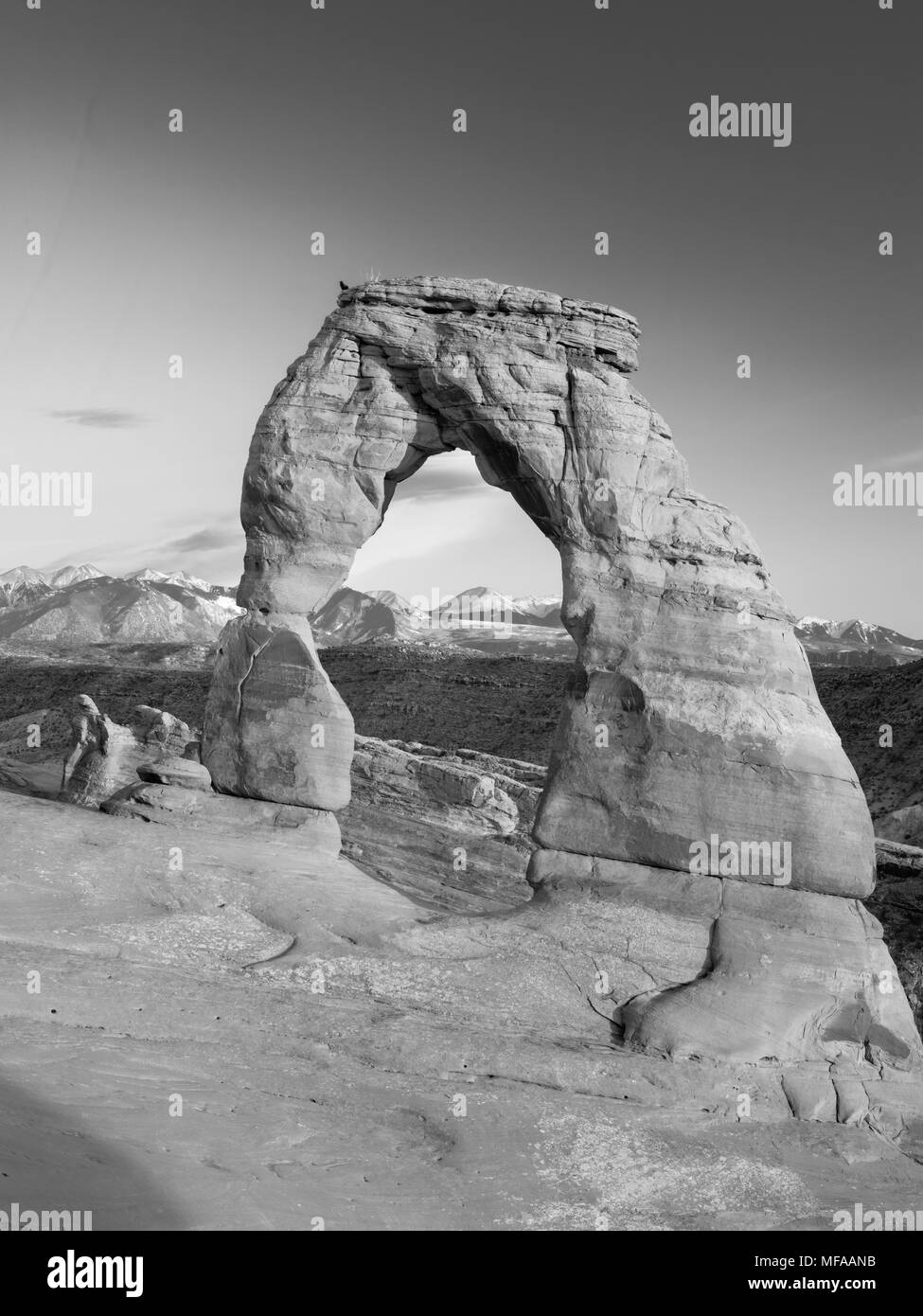 View of Delicate Arch with the La Sal Mountains in the background, nearing sunset; Arches National Park, Moab, Utah, USA. Stock Photo