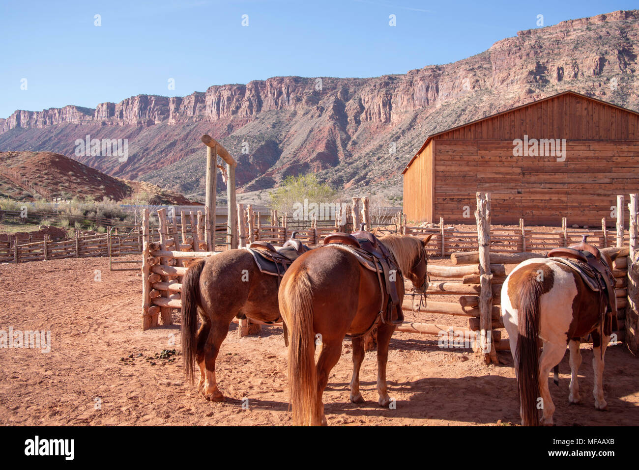 Horses in a corral wait for a trail ride; Red Cliffs Lodge, near Moab
