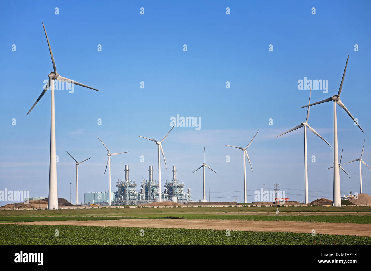 wind farm westereems Stock Photo