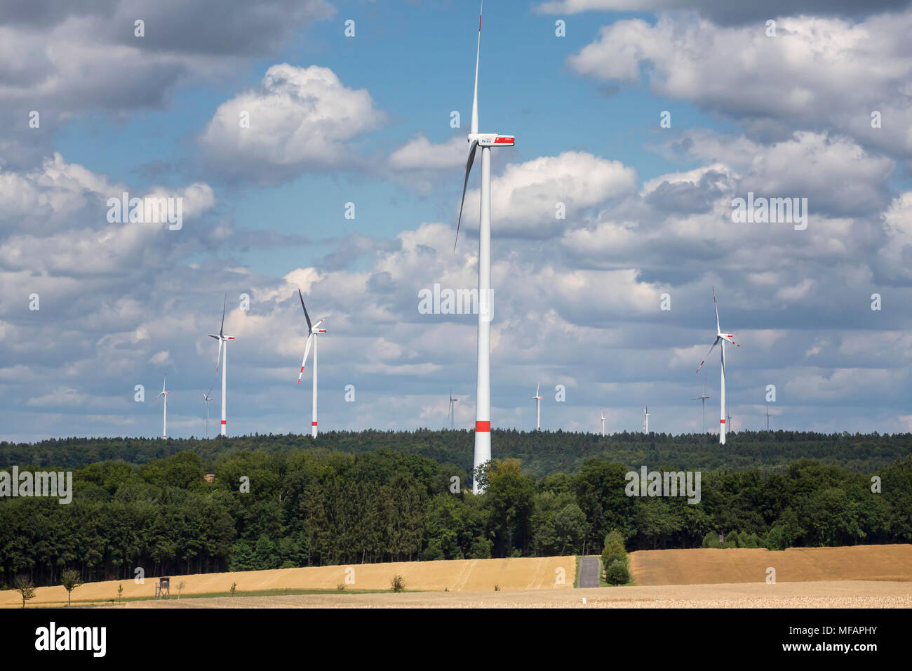 wind farm in the forest Stock Photo