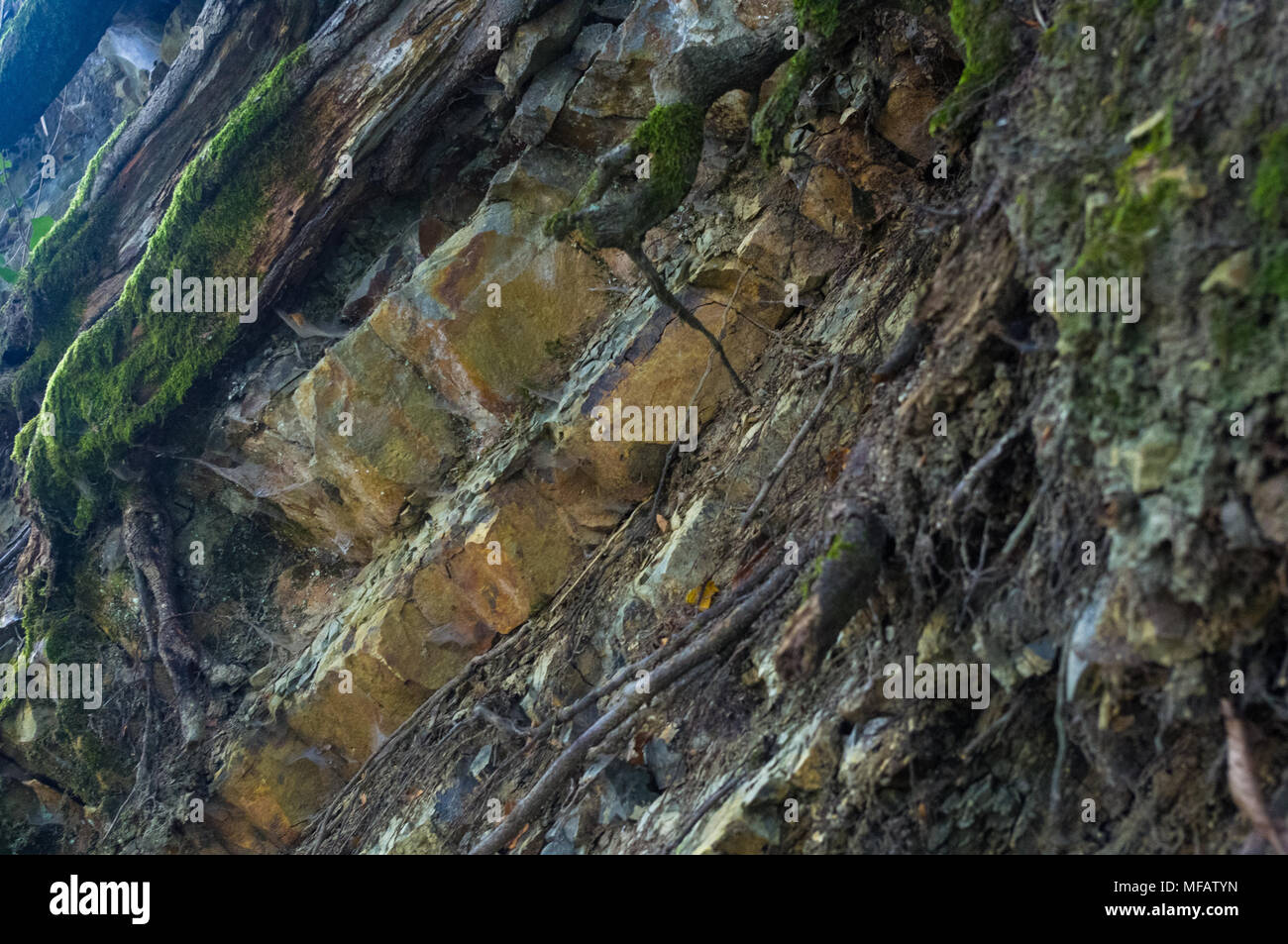 Sea Cut Rocks rocks and stones of the sea coast Stock Photo - Alamy