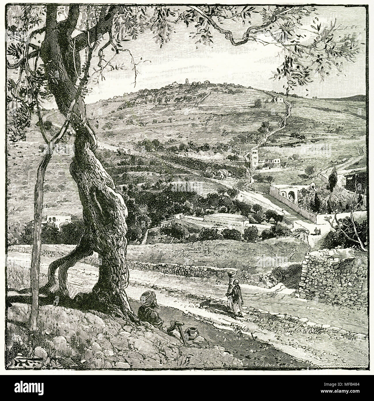 Engraving of the Mount of Olives and the Garden of Gesthemane. From an original engraving in the 1891 edition of In Scripture Lands by Edward L Wilson Stock Photo