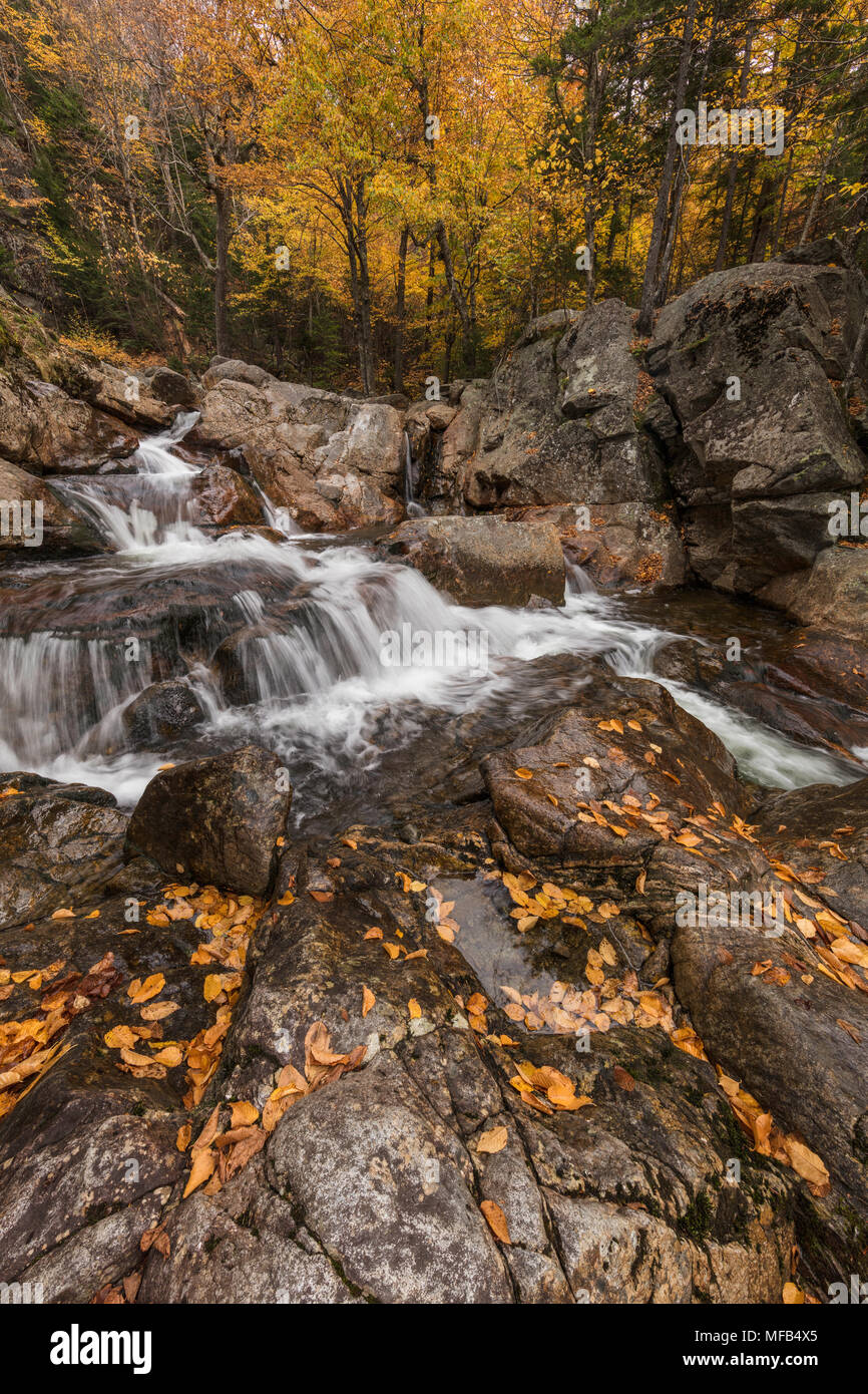 Glen Ellis Falls, Pinkham Notch, White Mountain National Forest, New Hampshire Stock Photo