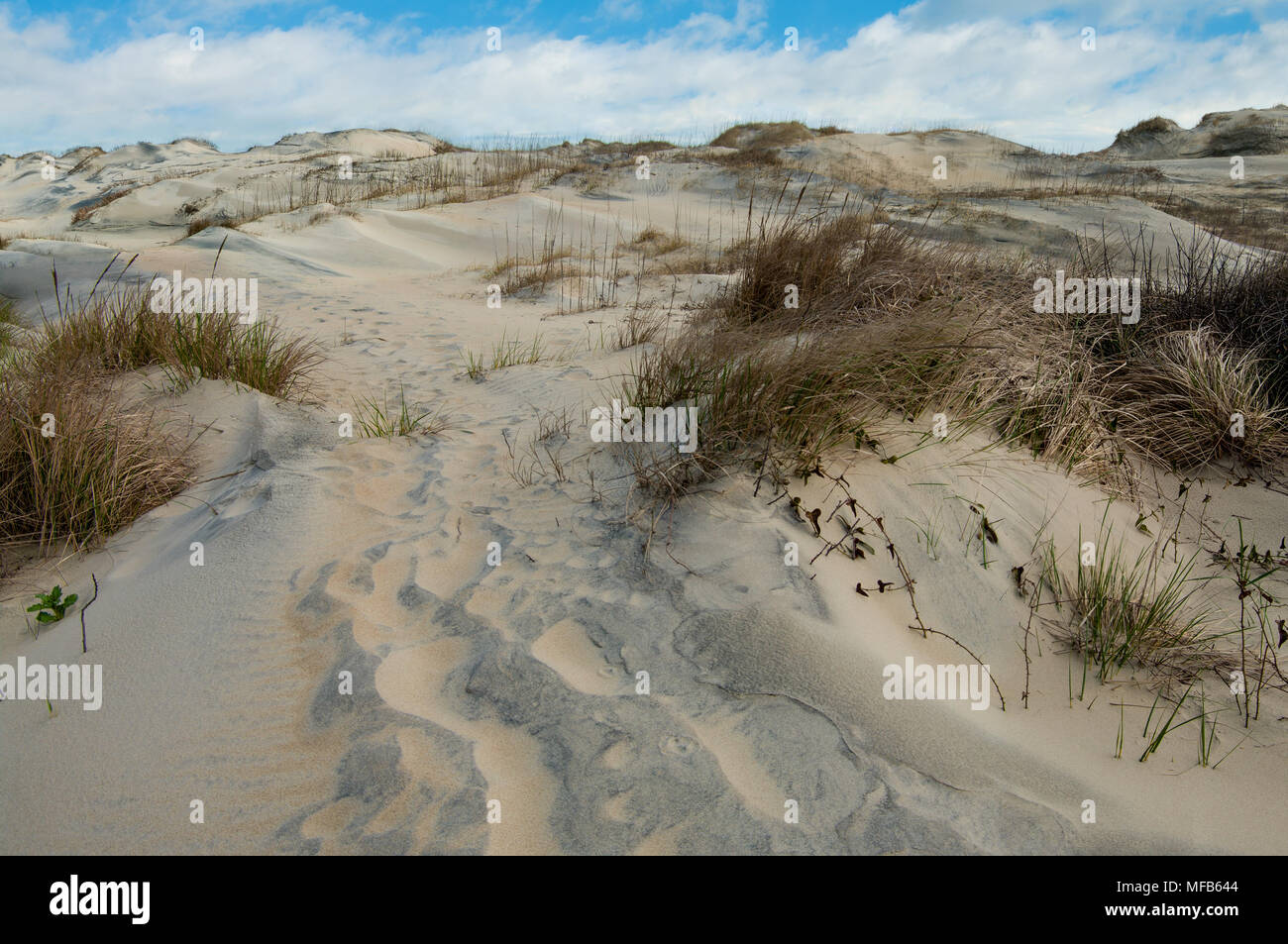 Outer banks north carolina erosion hires stock photography and images