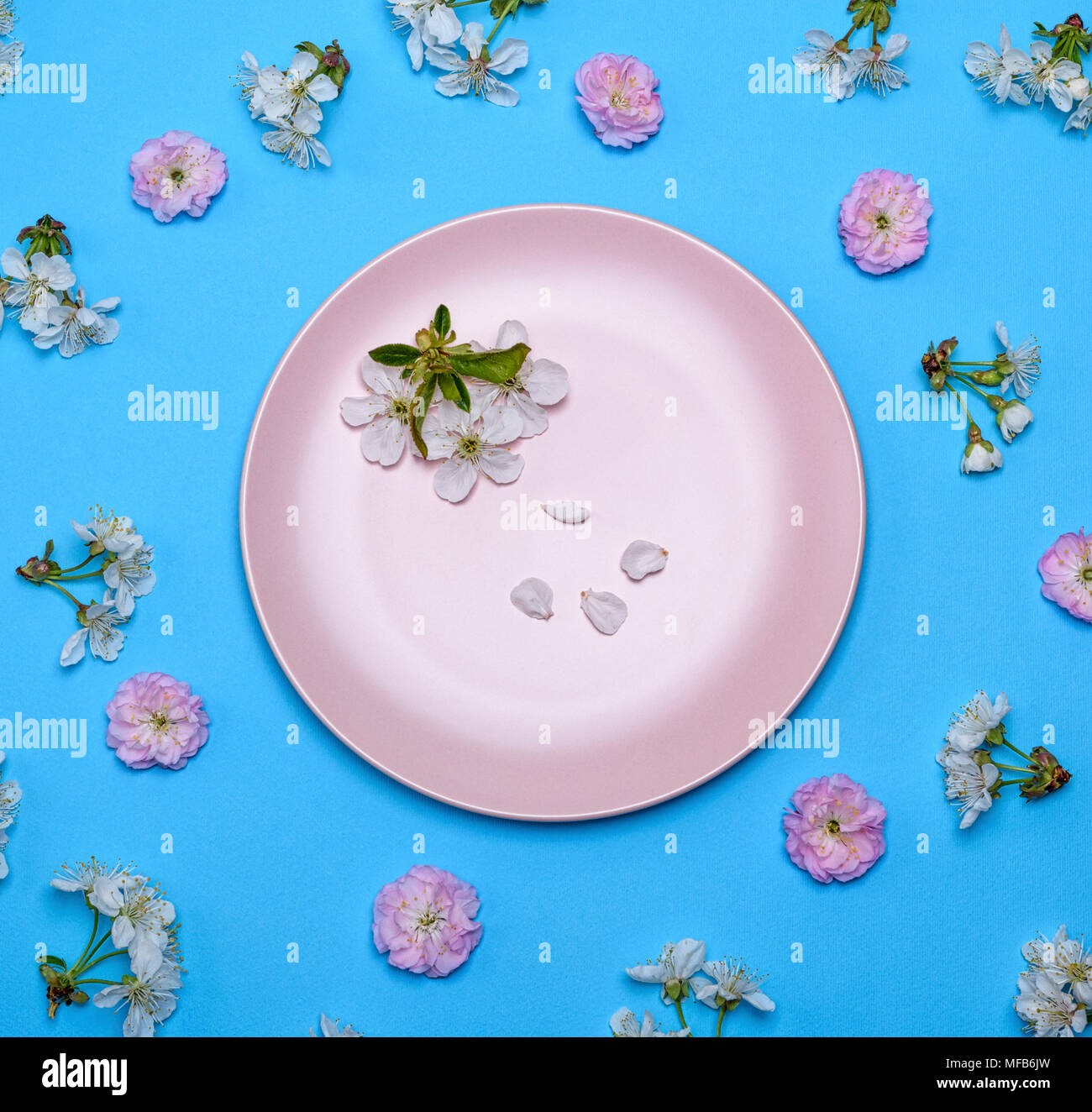 empty round ceramic pink plate on a blue background in the midst of ...