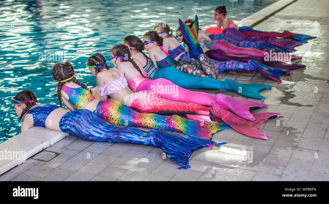 Mermaids in a swimming pool Stock Photo Alamy