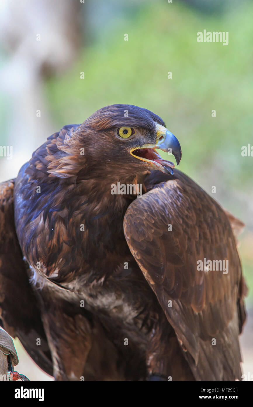 North America United States Oregon Eastern Oregon Bend