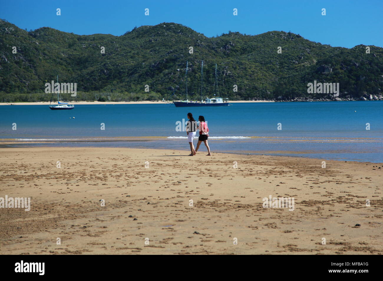 Island, Horseshoe bay, QLD, Australia Stock Photo Alamy