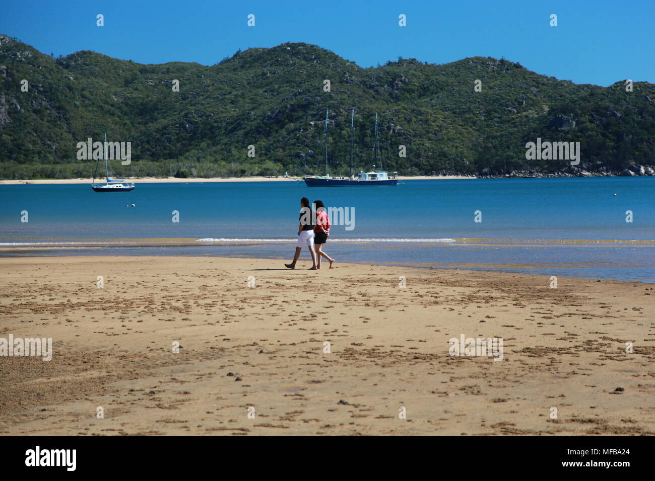 Island, Horseshoe bay, QLD, Australia Stock Photo Alamy