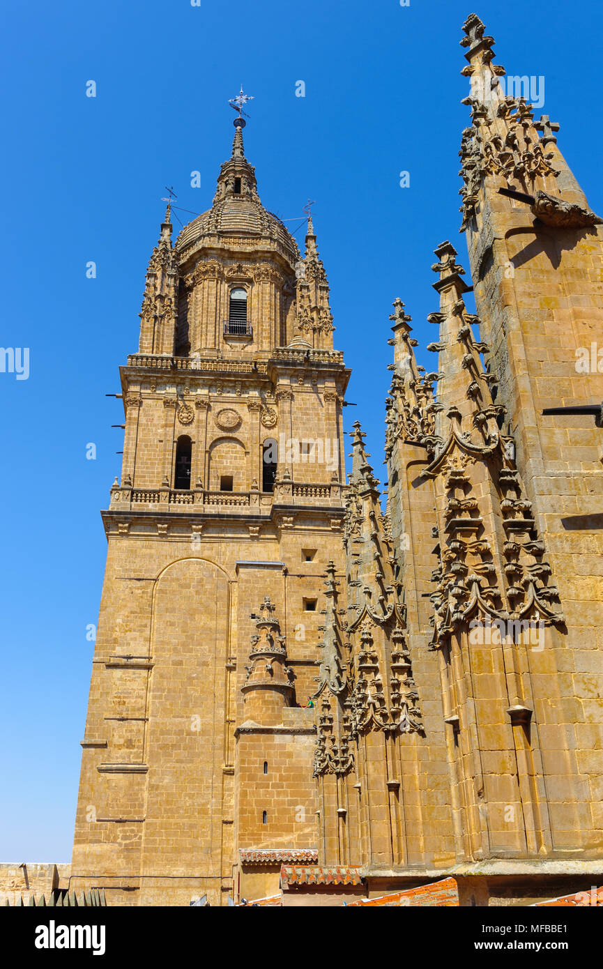One of the towers of the New Cathedral of Salamanca, Spain, UNESCO World heritage Stock Photo