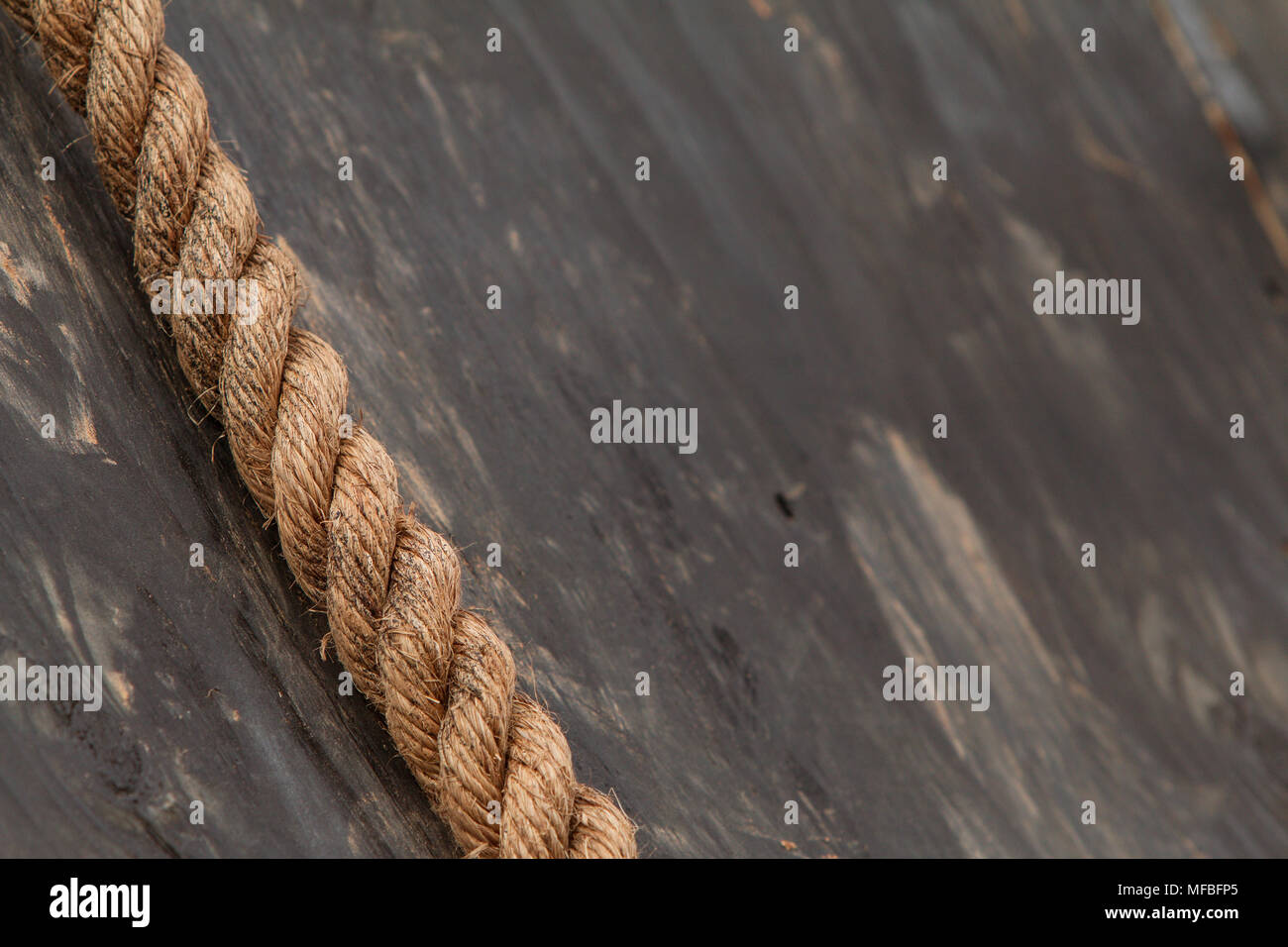 Closeup of thick rope lying against wooden wall at extreme obstacle course race. Stock Photo