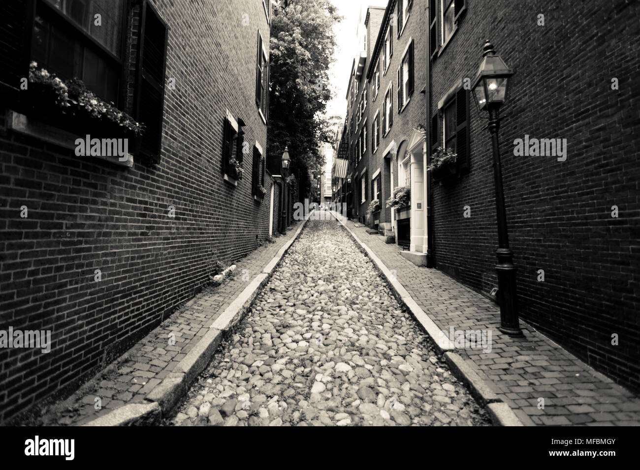 Acorn Street Com Paralelepípedos Casas Fileira Históricas Beacon Hill  Centro fotos, imagens de © jiawangkun #482946346