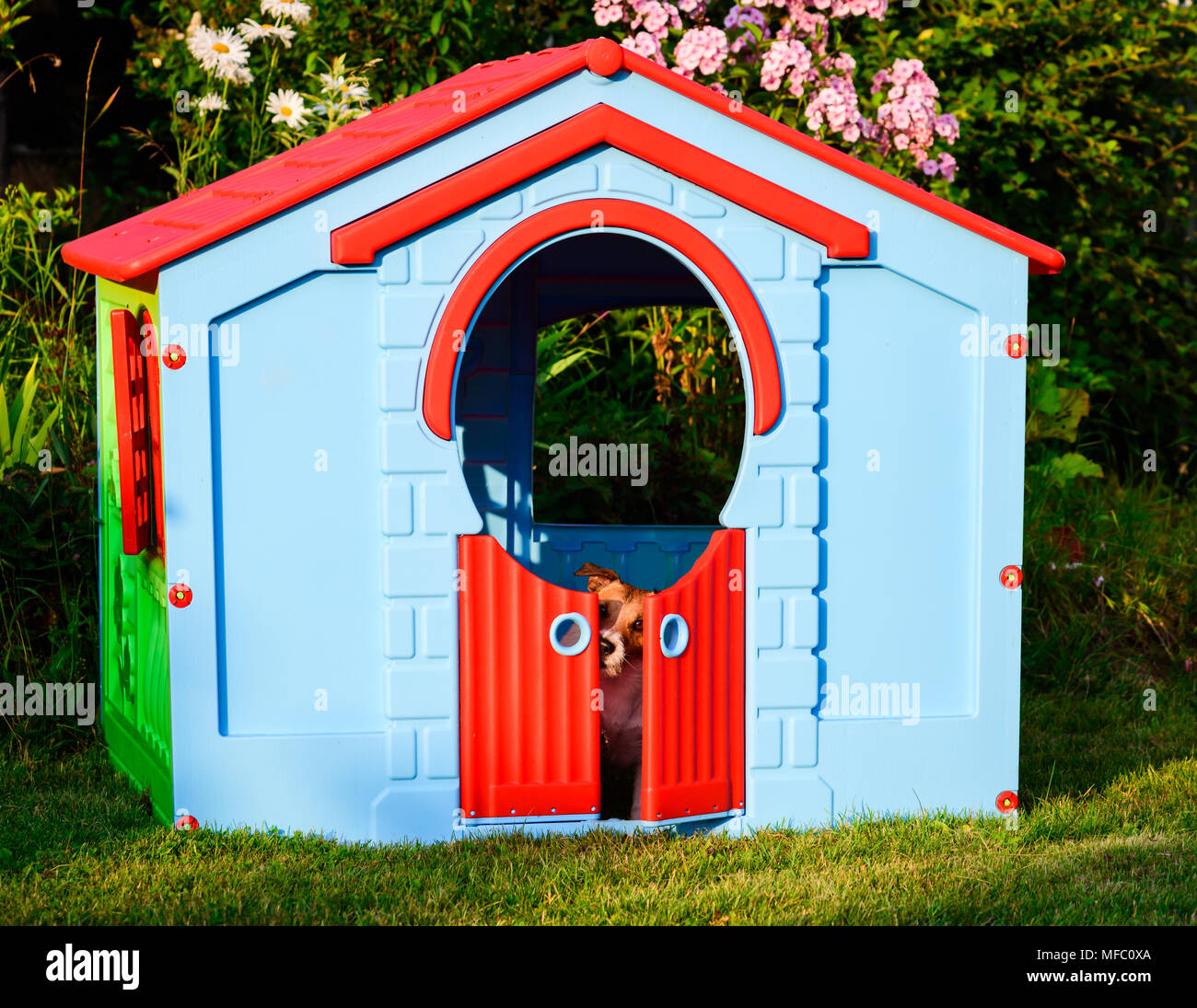 Sad dog inside kid playground toy house at garden Stock Photo