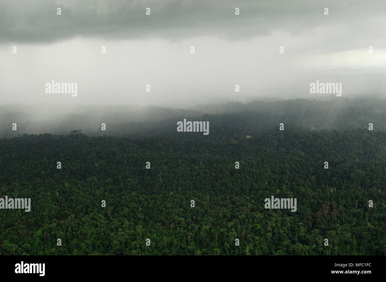 RAIN over rainforest Sabah, Borneo, Malaysia Stock Photo