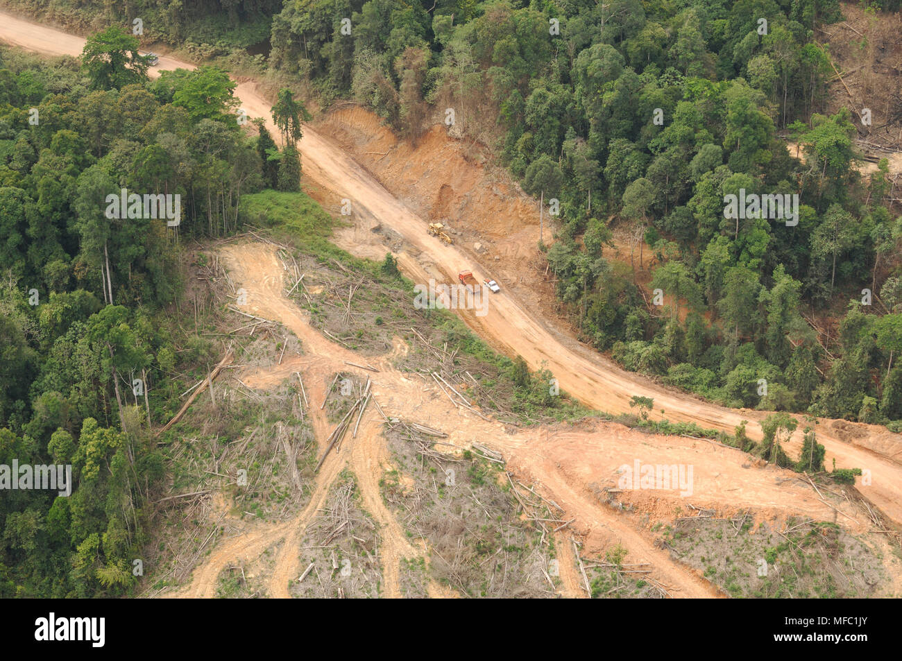 RAINFOREST DESTRUCTION of dipterocarp forest Sabah, Borneo, Malaysia. Stock Photo