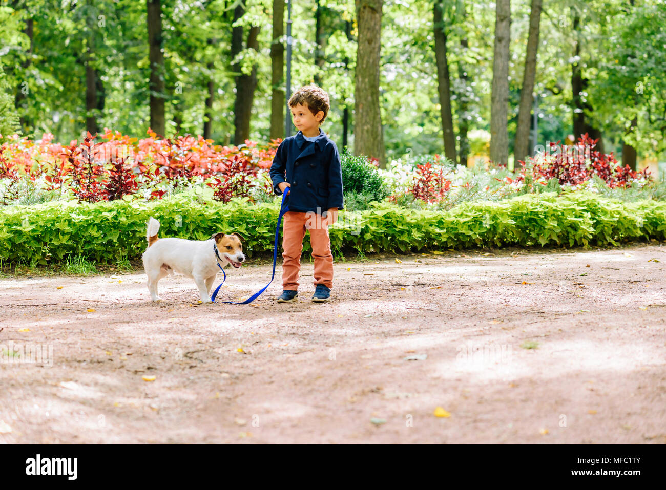 Kid boy walking with dog on leash at park Stock Photo