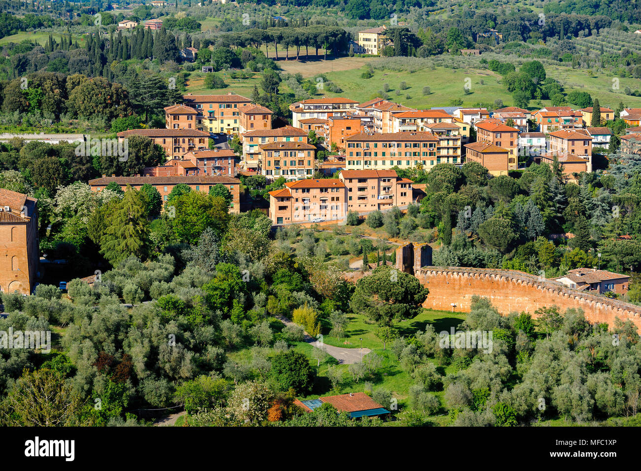SIENA