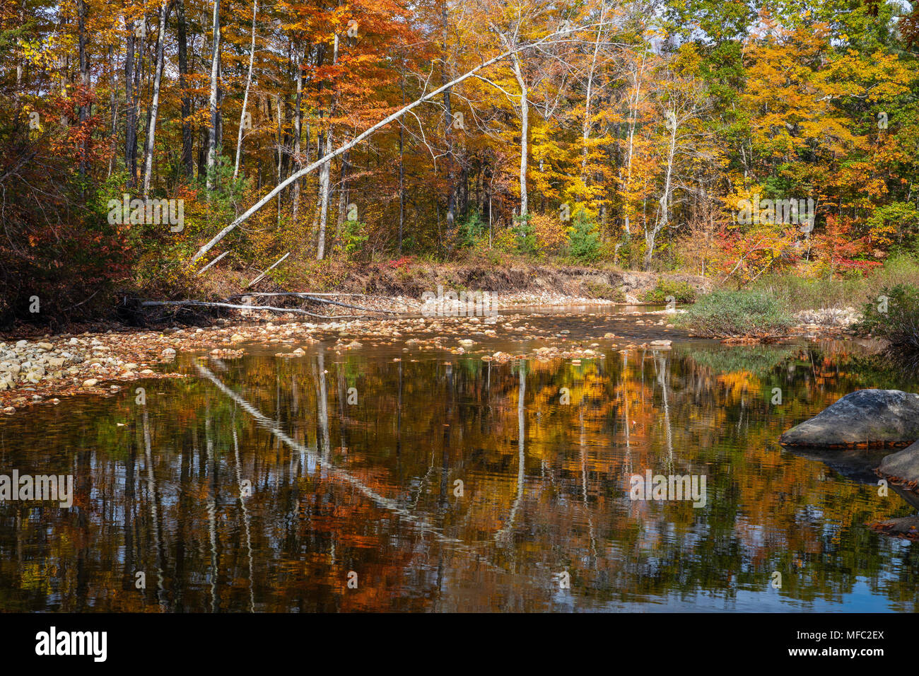 Autumn foliage reflection in the Sunday River, Bethel, Maine Stock Photo